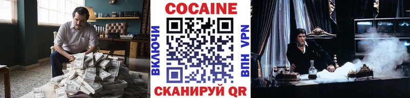 где найти   ссылка на мегу   COCAIN Эквадор  Новозыбков 