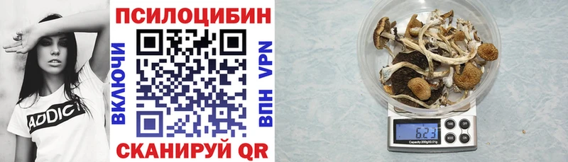 Галлюциногенные грибы Magic Shrooms  Новозыбков 